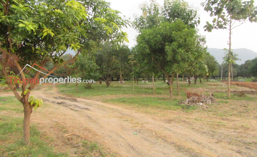 Low Budget Plots and Below 45 Lacs Houses for Sale Near Chandragiri Fort Junction